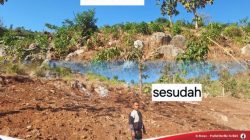 Lahan Pertanian Desa Mpuri Makin Produktif, Hasil Petani Jagung Meningkat